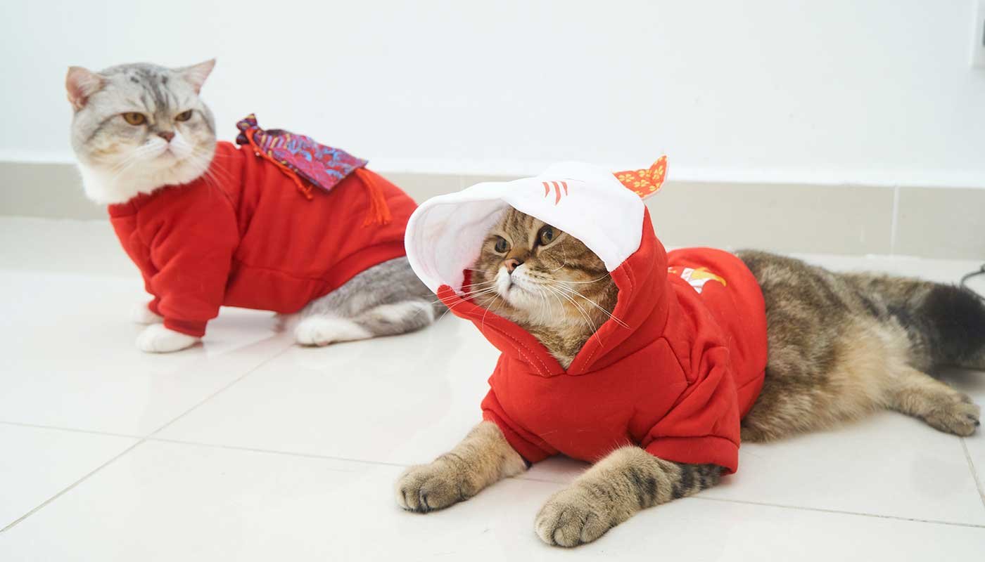 Pets Co.